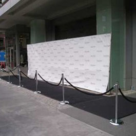 Chrome Stanchion
